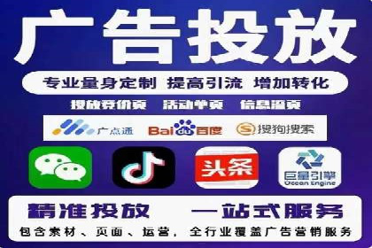 某行业领军企业的SEM广告投放策略